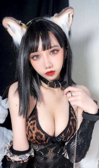 狃花女电视剧免费全集
