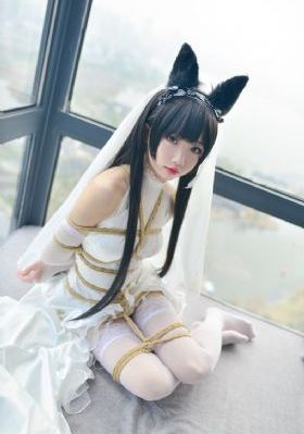 九尾狐传第二季大结局